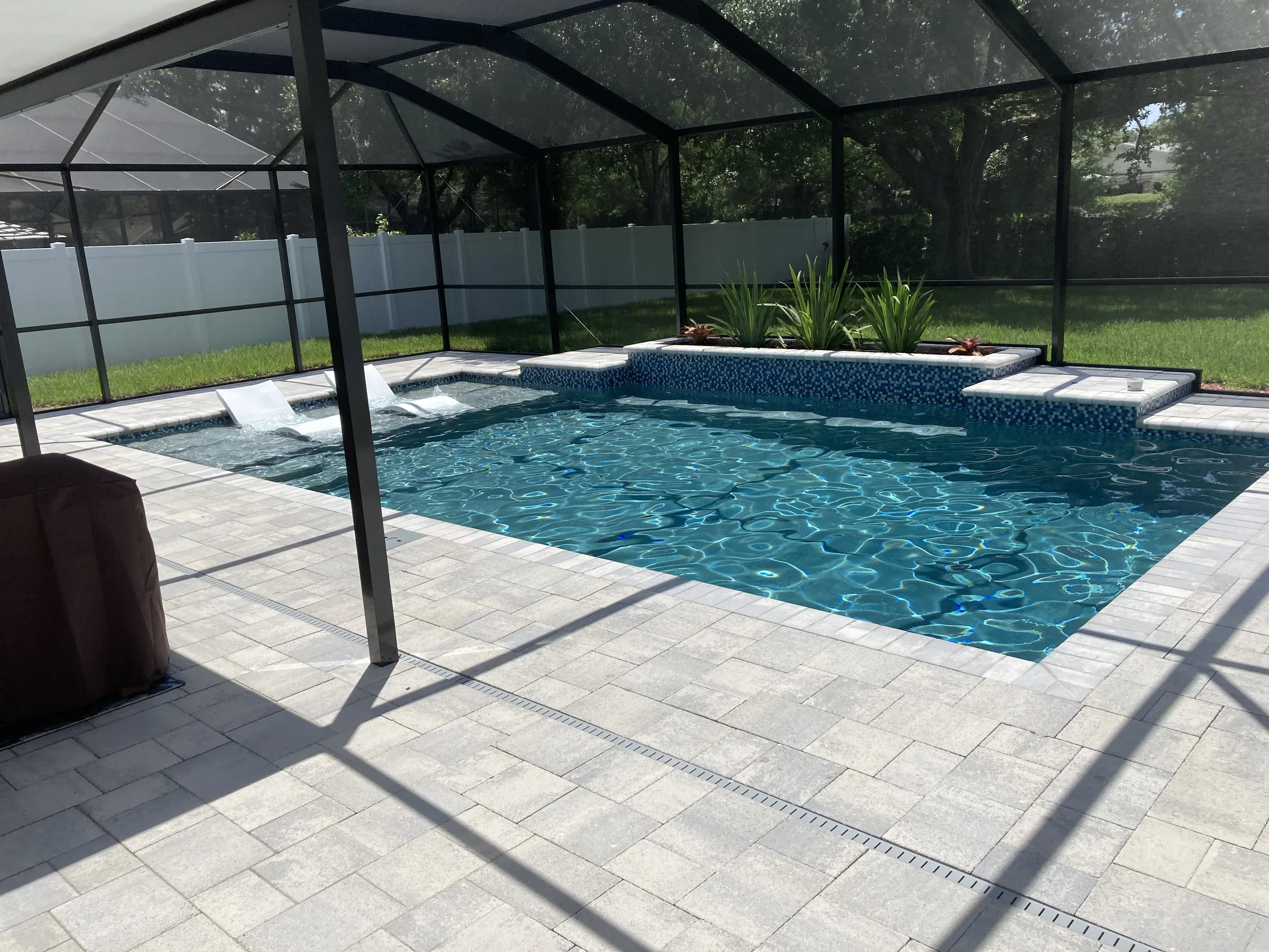 Screen-enclosed custom pool with tropical plantings and mosaic accents, Pasco County FL
