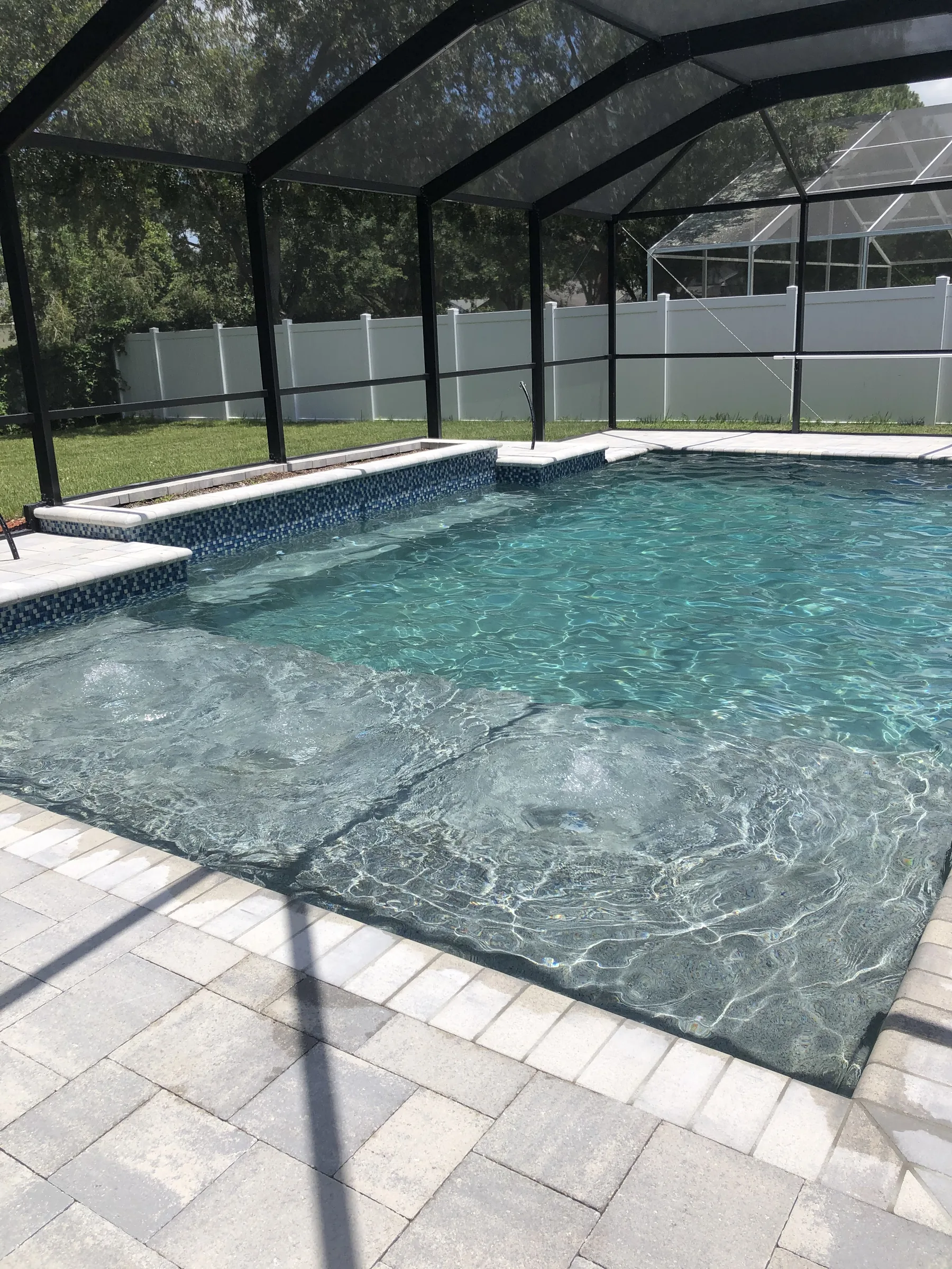 Pool water detail with paver deck and screen enclosure, Tampa FL